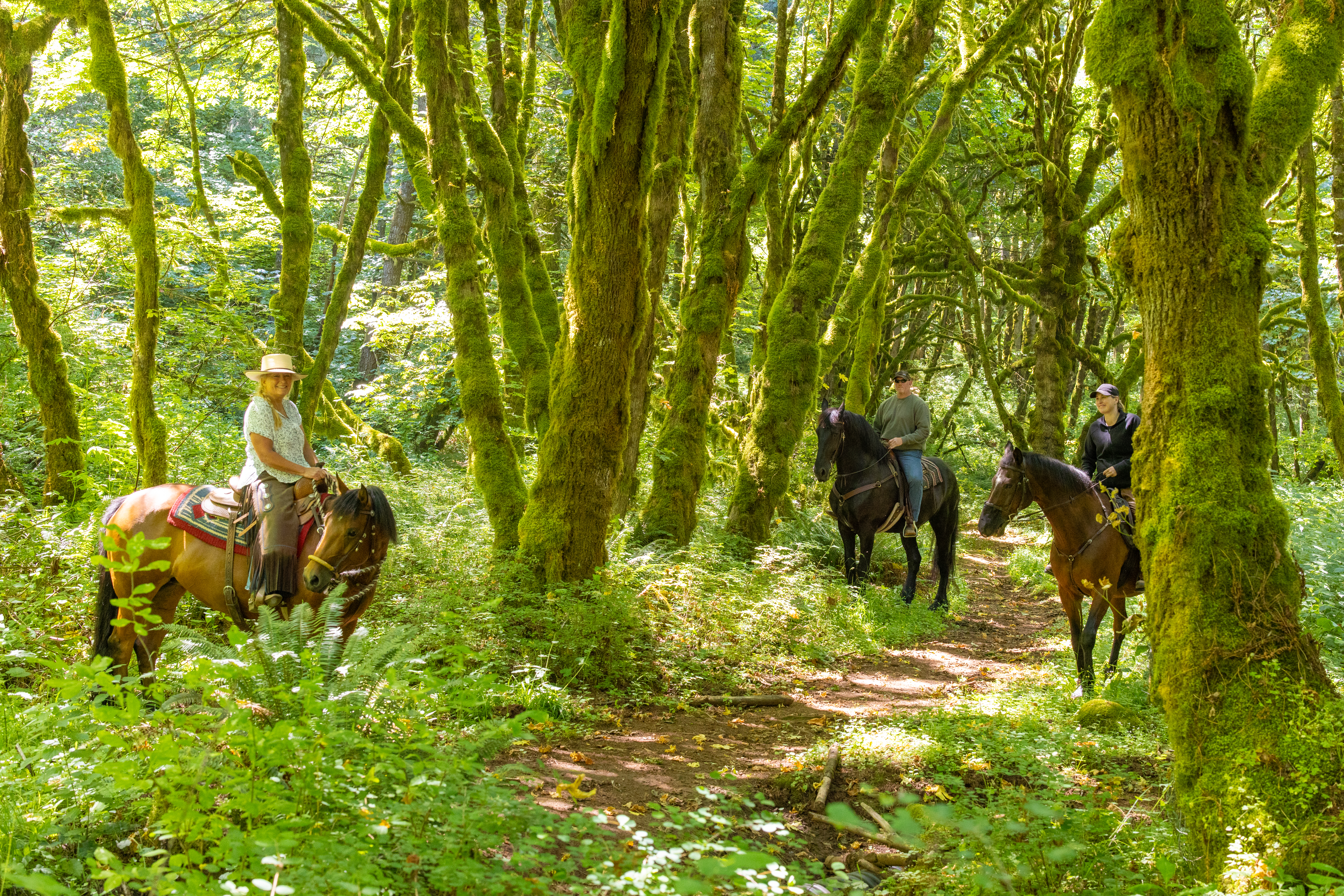 Riders on horses