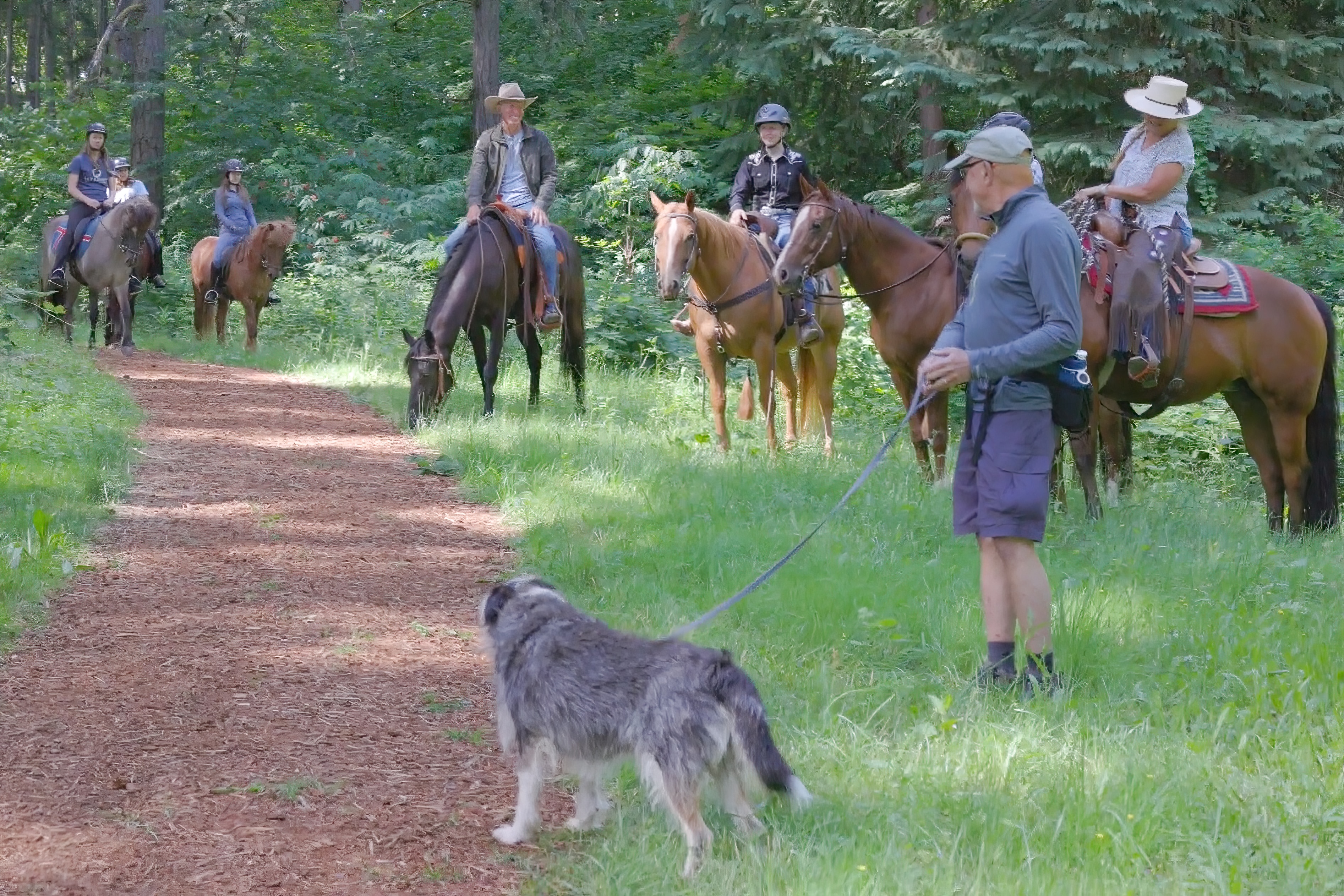 Riders on horses in park